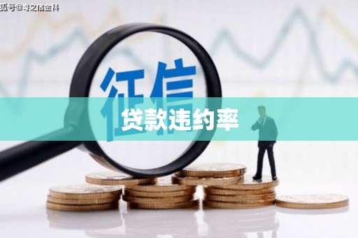 博野贷款违约率