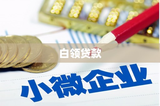 博野白领贷款