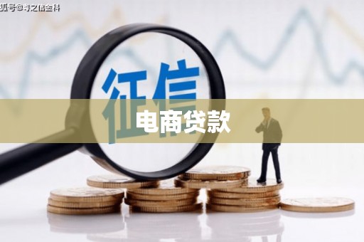 博野电商贷款