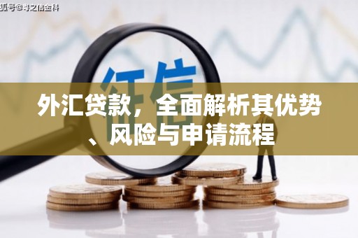 博野外汇贷款，全面解析其优势、风险与申请流程