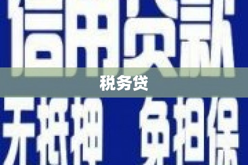 博野税务贷