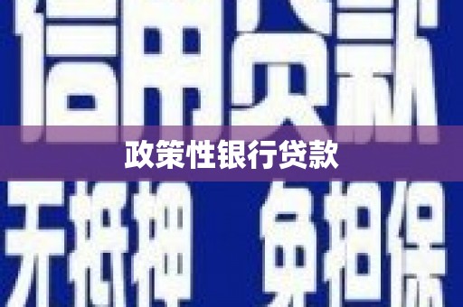 博野政策性银行贷款