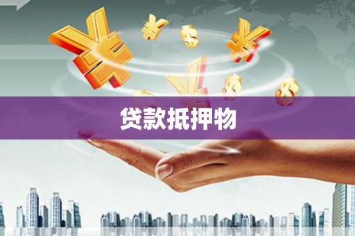 博野贷款抵押物