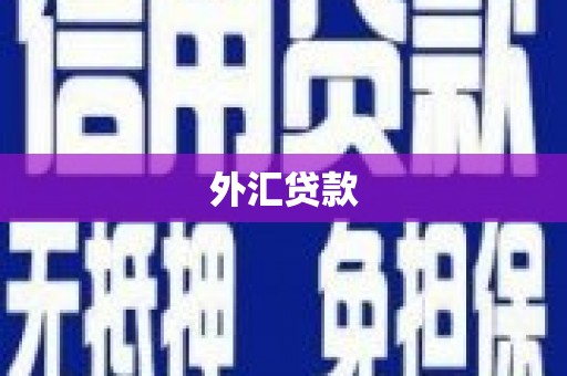 博野外汇贷款