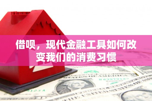 博野借呗，现代金融工具如何改变我们的消费习惯