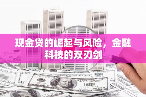 博野现金贷的崛起与风险，金融科技的双刃剑