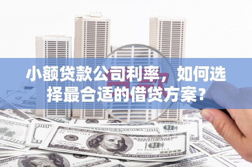 博野小额贷款公司利率，如何选择最合适的借贷方案？