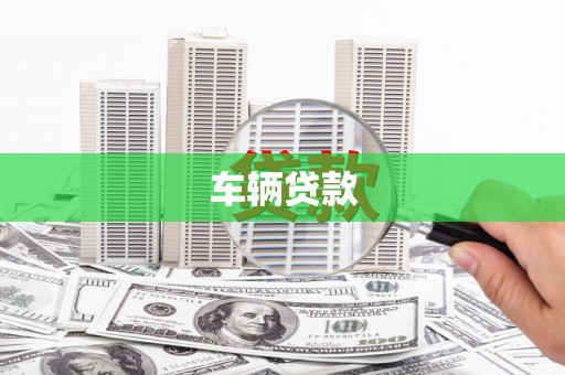 博野车辆贷款