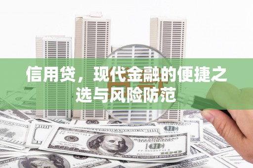 博野信用贷，现代金融的便捷之选与风险防范