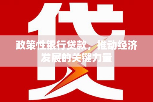 博野政策性银行贷款，推动经济发展的关键力量