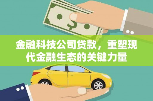 博野金融科技公司贷款，重塑现代金融生态的关键力量