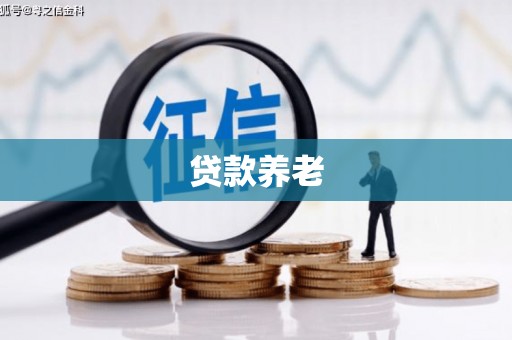 博野贷款养老