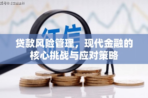 博野贷款风险管理，现代金融的核心挑战与应对策略