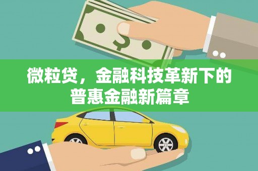 博野微粒贷，金融科技革新下的普惠金融新篇章