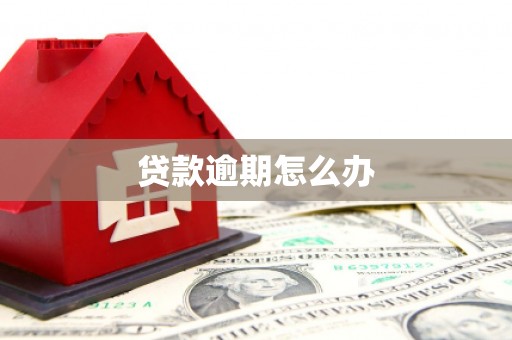 博野贷款逾期怎么办
