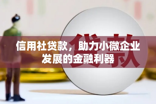 博野信用社贷款，助力小微企业发展的金融利器