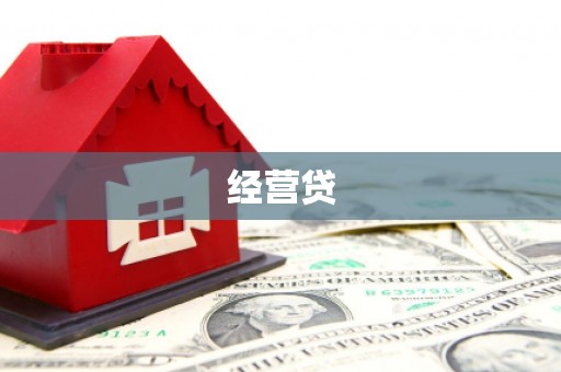 博野经营贷
