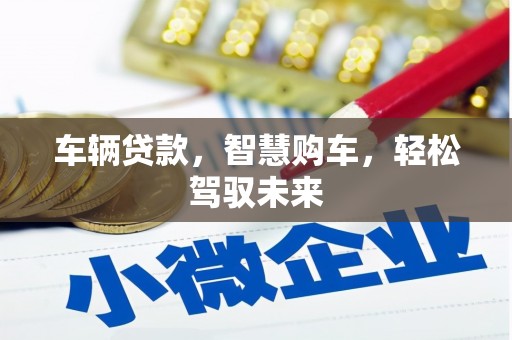 博野车辆贷款，智慧购车，轻松驾驭未来