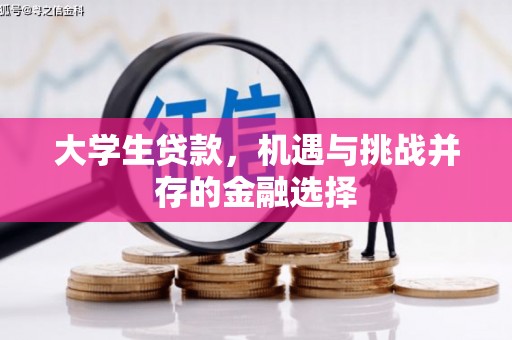 博野大学生贷款，机遇与挑战并存的金融选择
