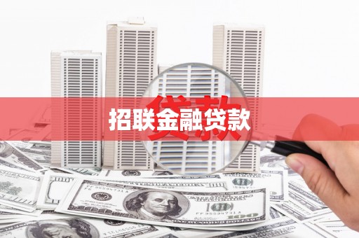 博野招联金融贷款