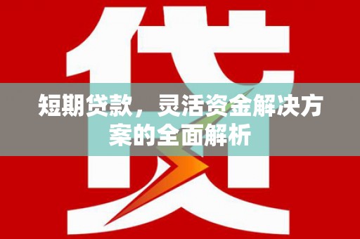 博野短期贷款，灵活资金解决方案的全面解析