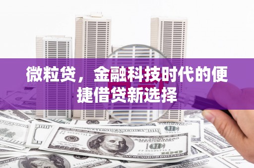 博野微粒贷，金融科技时代的便捷借贷新选择