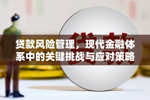 博野贷款风险管理，现代金融体系中的关键挑战与应对策略