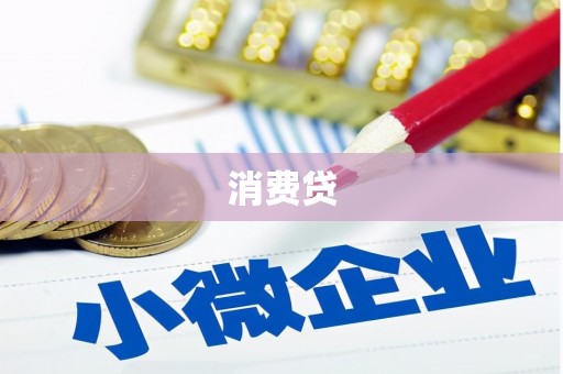 博野消费贷