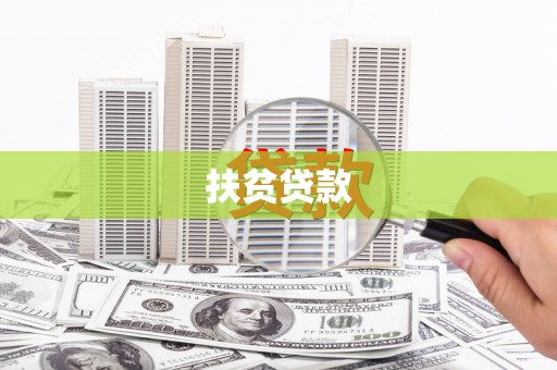 博野扶贫贷款