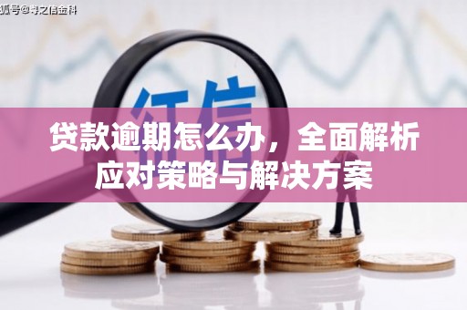 博野贷款逾期怎么办，全面解析应对策略与解决方案