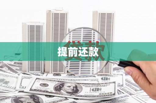 博野提前还款