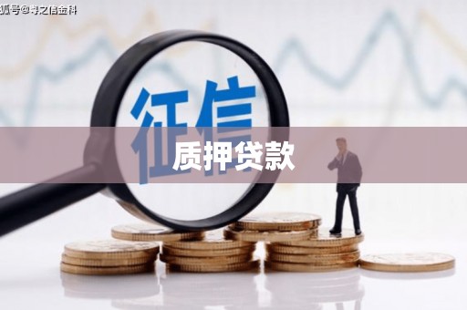 博野质押贷款