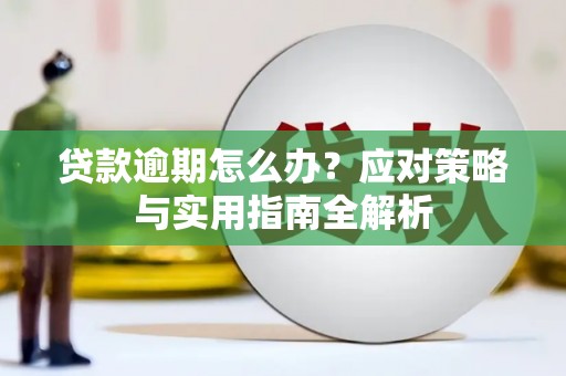 博野贷款逾期怎么办？应对策略与实用指南全解析