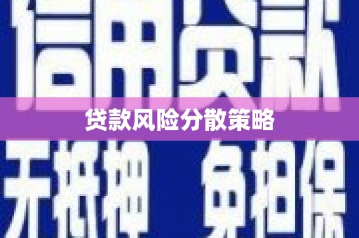 博野贷款风险分散策略
