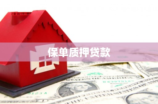 博野保单质押贷款