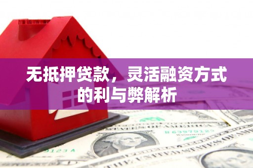 博野无抵押贷款，灵活融资方式的利与弊解析