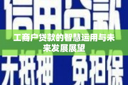 博野工商户贷款的智慧运用与未来发展展望