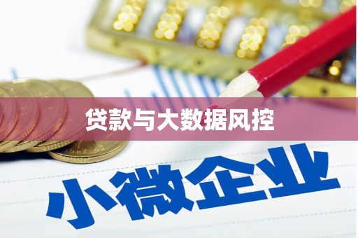 博野贷款与大数据风控