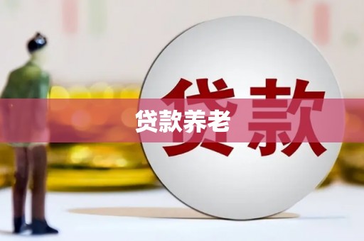 博野贷款养老