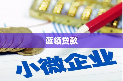 博野蓝领贷款