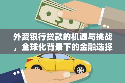 博野外资银行贷款的机遇与挑战，全球化背景下的金融选择