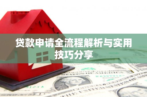 博野贷款申请全流程解析与实用技巧分享