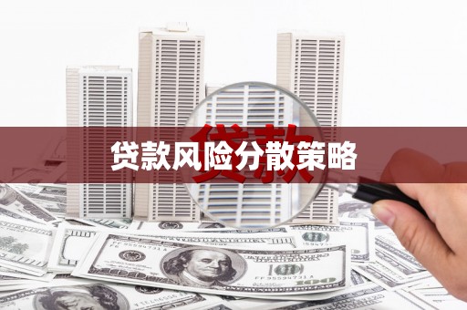 博野贷款风险分散策略