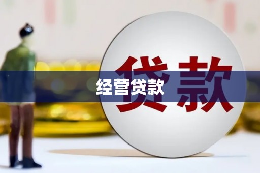 博野经营贷款