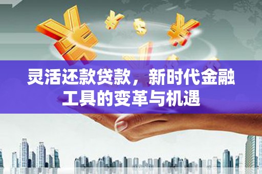 博野灵活还款贷款，新时代金融工具的变革与机遇