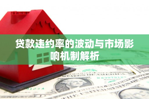 博野贷款违约率的波动与市场影响机制解析