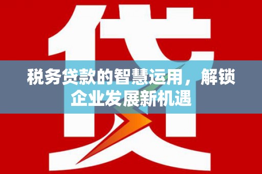 博野税务贷款的智慧运用，解锁企业发展新机遇
