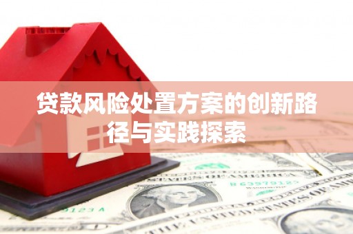 博野贷款风险处置方案的创新路径与实践探索