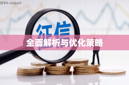 博野全面解析与优化策略