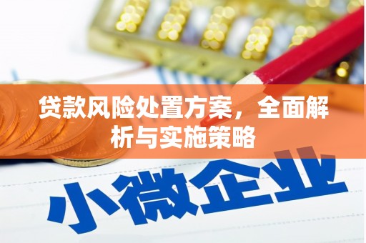博野贷款风险处置方案，全面解析与实施策略